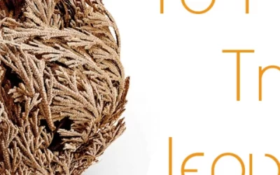 To Ρόδο της Ιεριχούς (Βίντεο)