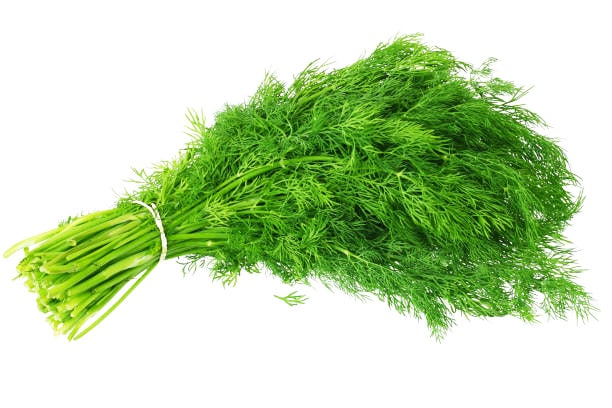 Τι φυτεύω Ιούνιο