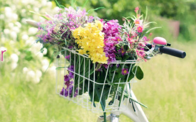 Τι φυτεύω τον Μάρτιο