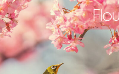 Τι Φυτεύω τον Απρίλιο