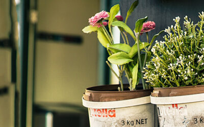 Όλα για τα αρωματικά βότανα!