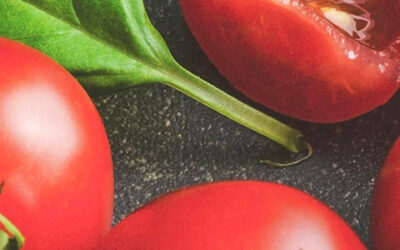 Ντομάτα – Ποικιλίες Κλάδεμα και Καλλιέργεια