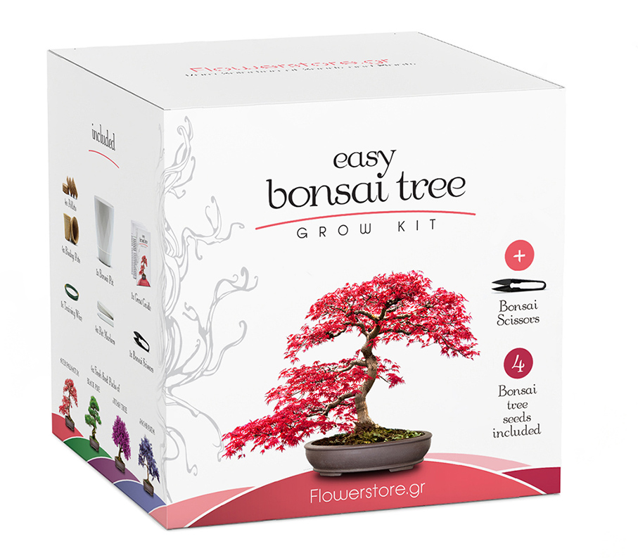 Μπονσάι κιτ καλλιέργειας