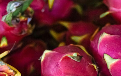 Φρούτο του δράκου – Ένας Εξωτικός Θησαυρός!