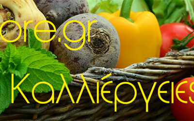 Τι φυτεύουμε τον Ιούνιο; Καλοκαιρινή Καλλιέργεια