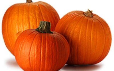 Κολοκύθα Οδηγίες Καλλιέργειας Σπόρων