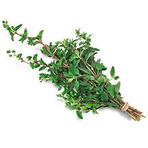 Τι φυτεύω τον Σεπτέμβριο