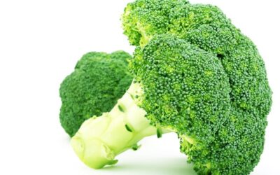 Μπρόκολο Οδηγίες Καλλιέργειας Σπόρων