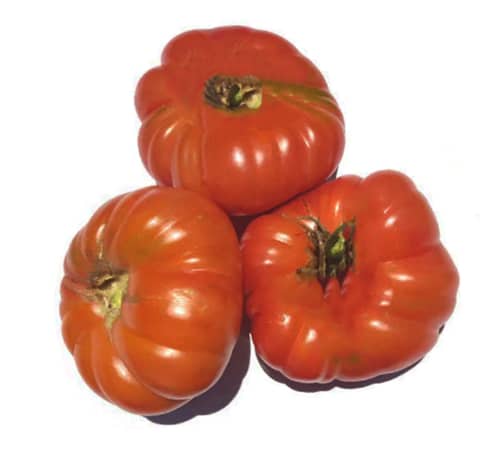 τι φυτεύω τον ιούνιο