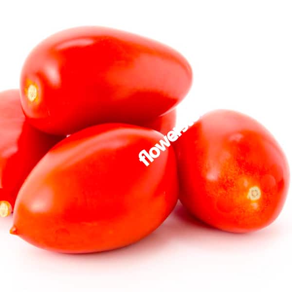 ποικιλίες ντομάτας, καθιστή ντομάτα, αναρριχώμενη ντομάτα καλλιέργεια