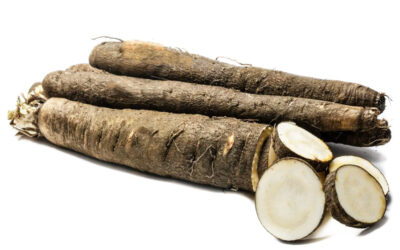 Μαύρο Λαγόχορτο (Black salsify / Scorzonera) – Οδηγίες Καλλιέργειας / Βλάστησης