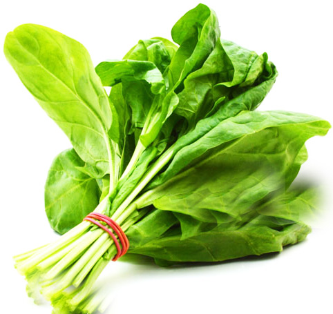 Τι φυτεύω τον Νοέμβριο