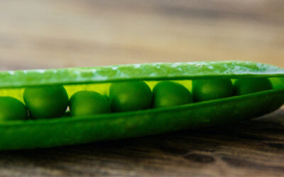 Τι Φυτεύω τον Δεκέμβριο