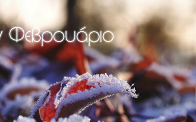 Τι Φυτεύω τον Φεβρουάριο?