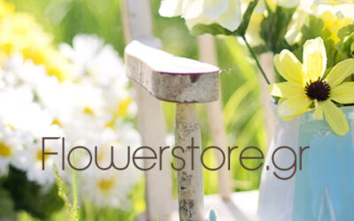 Τι φυτεύω τον Ιούλιο