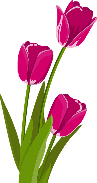 Τι φυτεύουμε τον Οκτώβριο