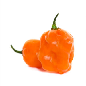 Πορτοκαλί Χαμπανέρο (Habanero Pepper) - 20 Σπόροι